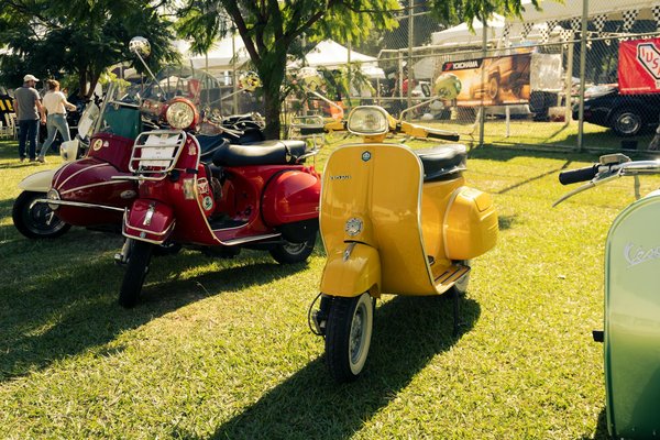 Comment choisir les meilleures baskets pour femme ?